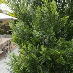 Cèdre artificiel extérieur en pot, 68″