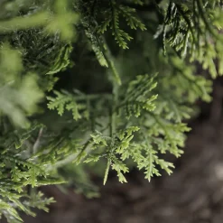 Cèdre artificiel extérieur en pot, 68″