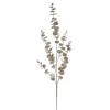 Champagne artificial eucalyptus, 35″