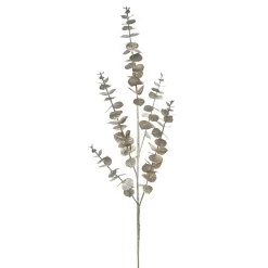 Champagne artificial eucalyptus, 35″