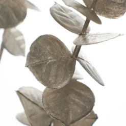 Champagne artificial eucalyptus, 35″