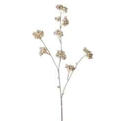 Champagne berry cluster, 32″