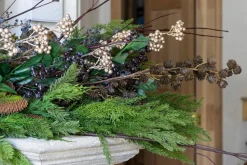 Champagne berry cluster, 32″