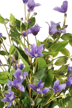 Clematis flower bouquet in a vase