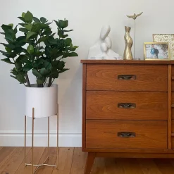 Clusia artificiel, 31″