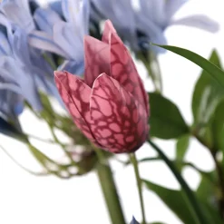 Colorful artificial agapanthus floral arrangement
