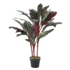 Cordyline artificial outdoor plant, 36"