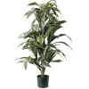 Cordyline artificielle, 57″
