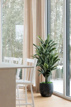 Cordyline artificielle, 57″