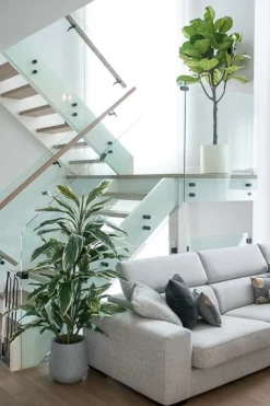 Cordyline artificielle, 57″