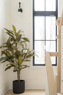 Cordyline fructicosa artificielle, 55″