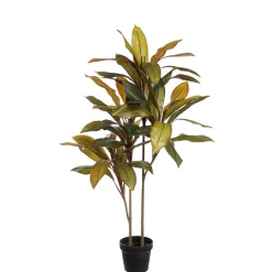 Cordyline fructicosa artificielle, 43″