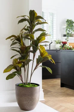 Cordyline fructicosa artificielle, 43″