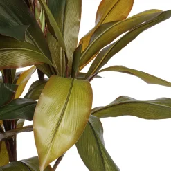 Cordyline fructicosa artificielle, 43″