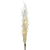 Cream illuminated pampas grass, 31,5″