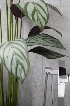 Cténante artificielle, 63″