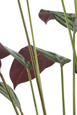 Cténante artificielle, 63″