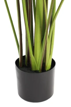 Cténante artificielle, 63″