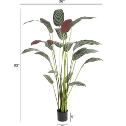 Cténante artificielle, 63″