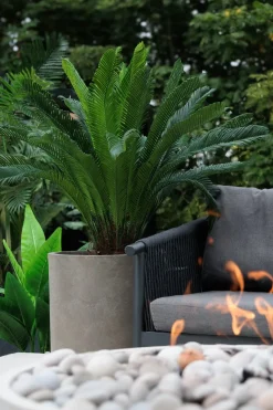 Cycas artificial outdoor palm, 47