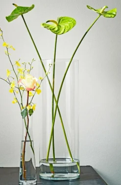 Cylindrical clear glass vase, 21,5 x 7,5"