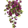 Dark purple outdoor trailing bougainvillea, 30,5″