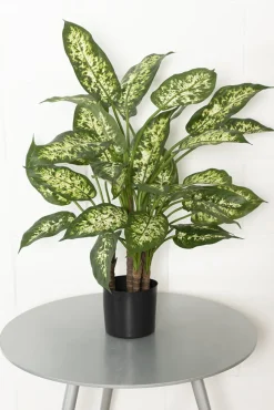 Dieffenbachia artificiel, 24″