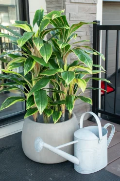 Dracaena artificial outdoor plant, 40″