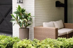 Dracaena artificial outdoor plant, 40″