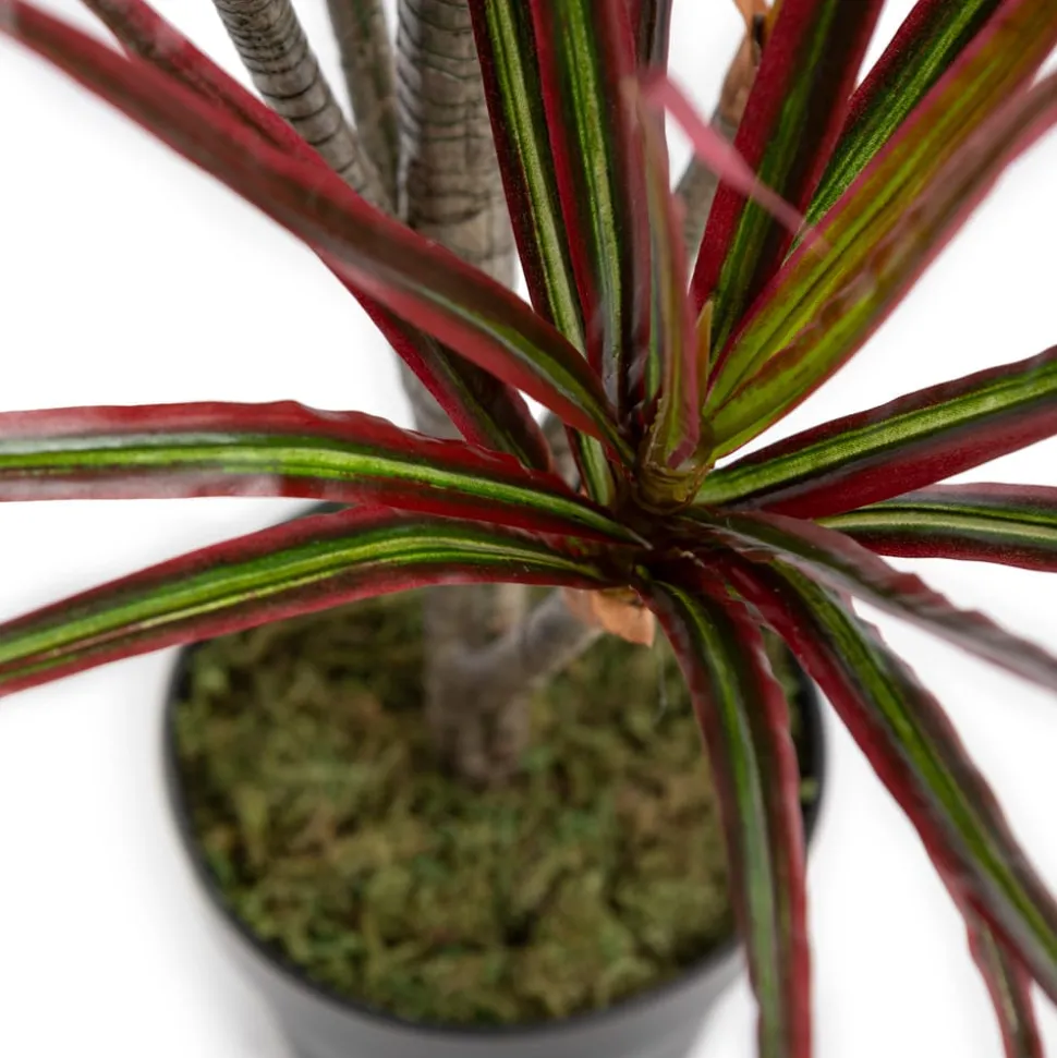 Dracaena marginata artificial outdoor plant, 48″