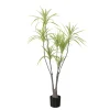 Dracaena vert artificiel, 57″