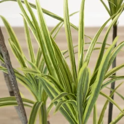 Dracaena vert artificiel, 57″