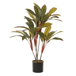 Dragonnier artificiel, 36″