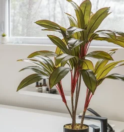 Dragonnier artificiel, 36″