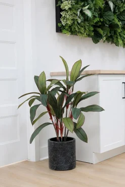 Dragonnier artificiel, 36″