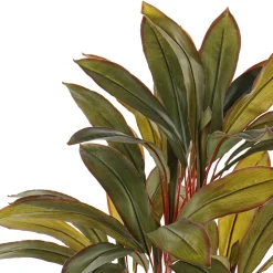 Dragonnier artificiel, 36″