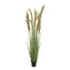 Dried reed grass in a pot, 57″