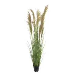 Dried reed grass in a pot, 57″