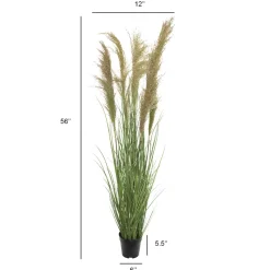 Dried reed grass in a pot, 57″