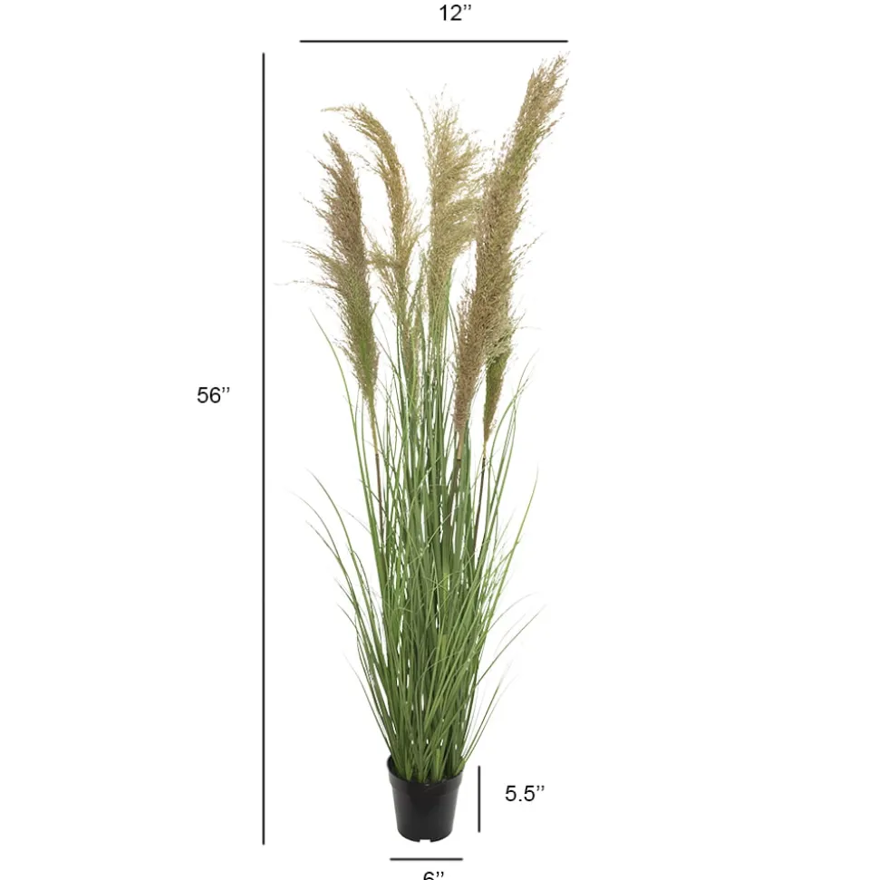 Dried reed grass in a pot, 57″