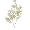 Eucalyptus beige artificiel à feuilles rondes, 34″