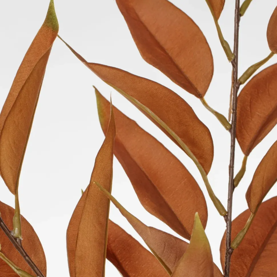 Eucalyptus brun artificiel, 26″