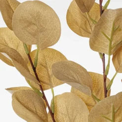 Eucalyptus brun pâle artificiel à feuilles rondes, 26&Prime;