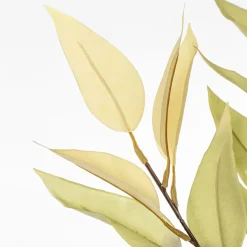 Eucalyptus vert et crème artificiel, 26″