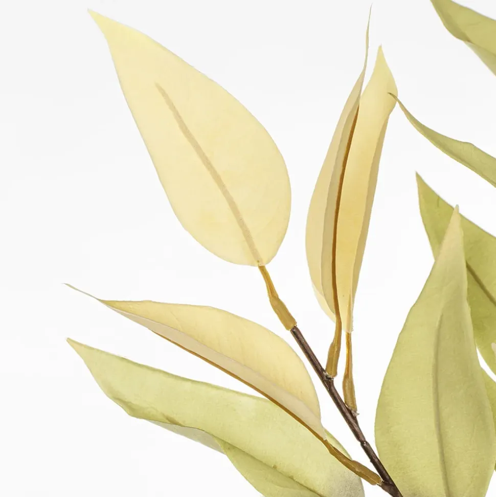 Eucalyptus vert et crème artificiel, 26″
