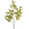 Eucalyptus vert pâle artificiel à feuilles rondes, 34″