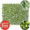 Expandable plant trellis (green structure), 39 x 78″