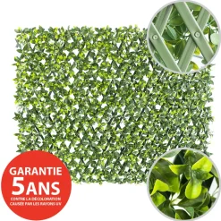 Expandable plant trellis (green structure), 39 x 78″