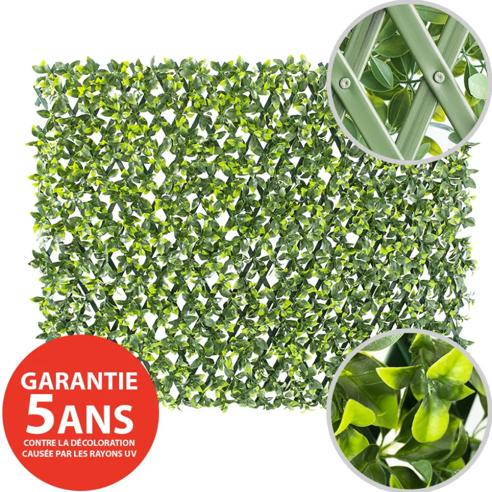 Expandable plant trellis (green structure), 39 x 78″