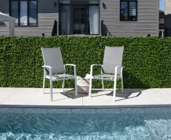 Expandable plant trellis (green structure), 39 x 78″